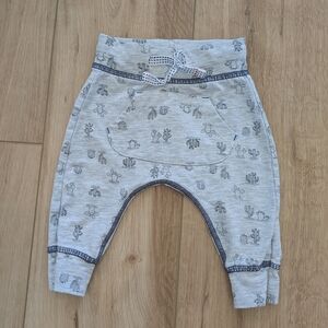 Gray Baby Panda Pants with Cactus Print